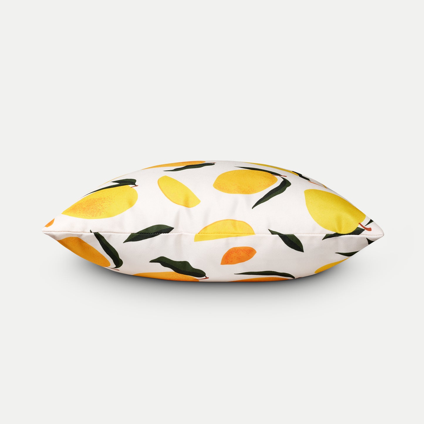 Pack of 2 Ginny Outdoor/Indoor Cushion Covers - Ernest Walters LTD